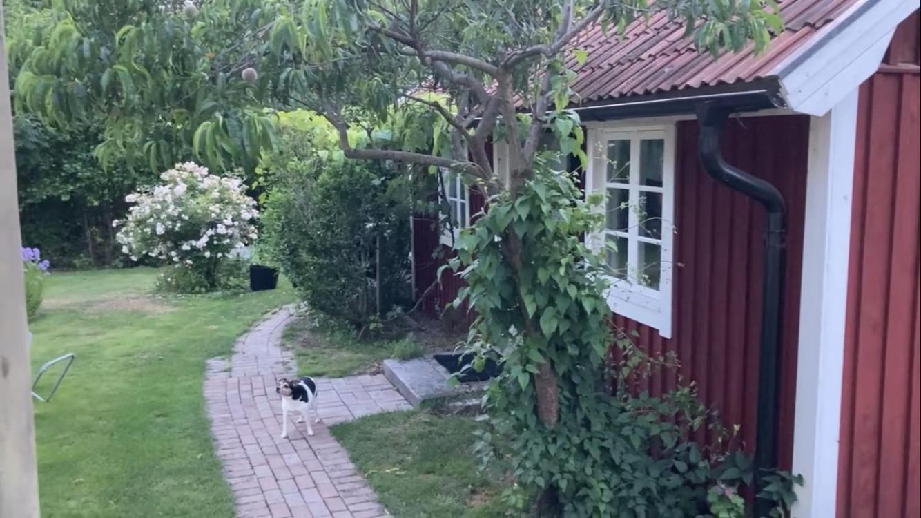 Isans Stuga Broby Dış mekan fotoğraf